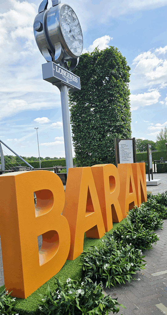 The Baran Logo